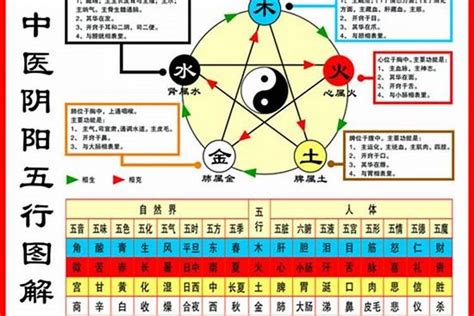 五行判定|如何查自己五行什么命 快速查自己的五行属性